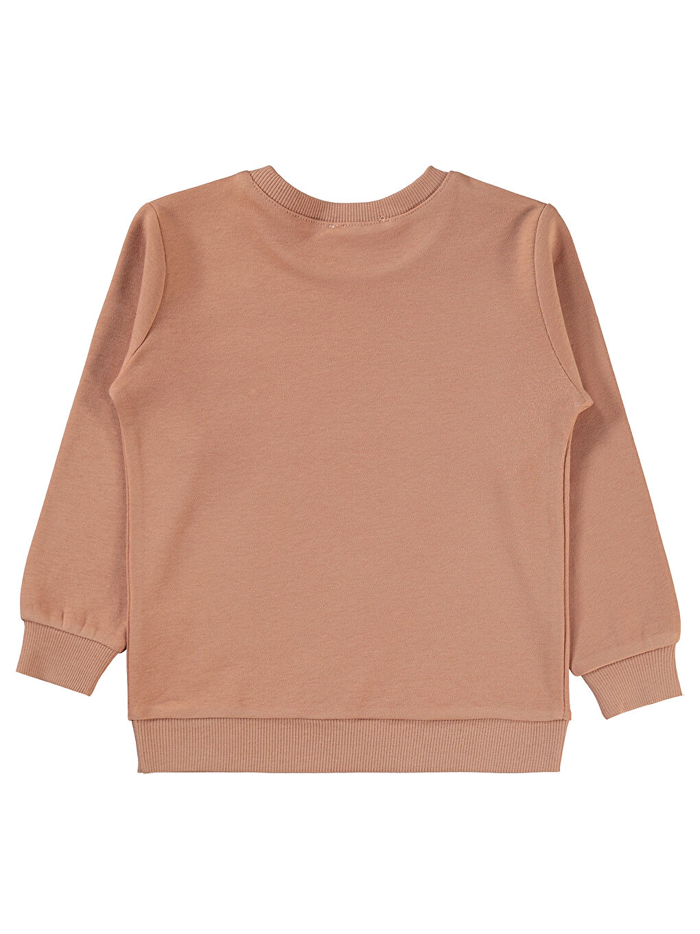 Kahverengi Girls Kız Çocuk Sweatshirt 2-5 Yaş İtalyan Kili-1