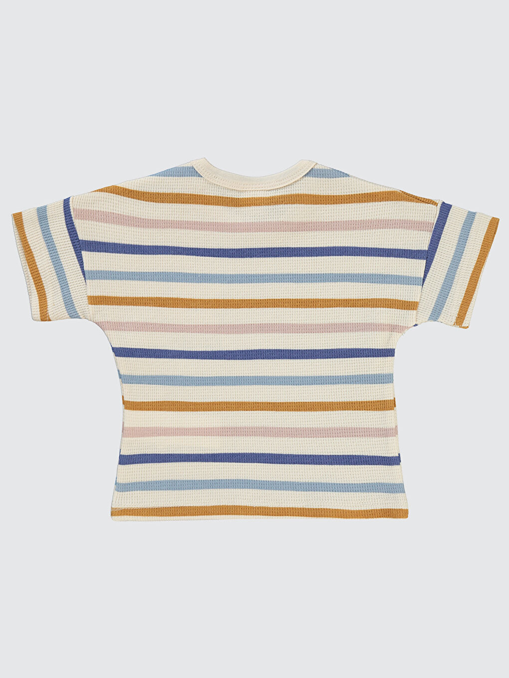 Bej Baby Erkek Bebek Tişört 6-18 Ay Fil Dişi-1