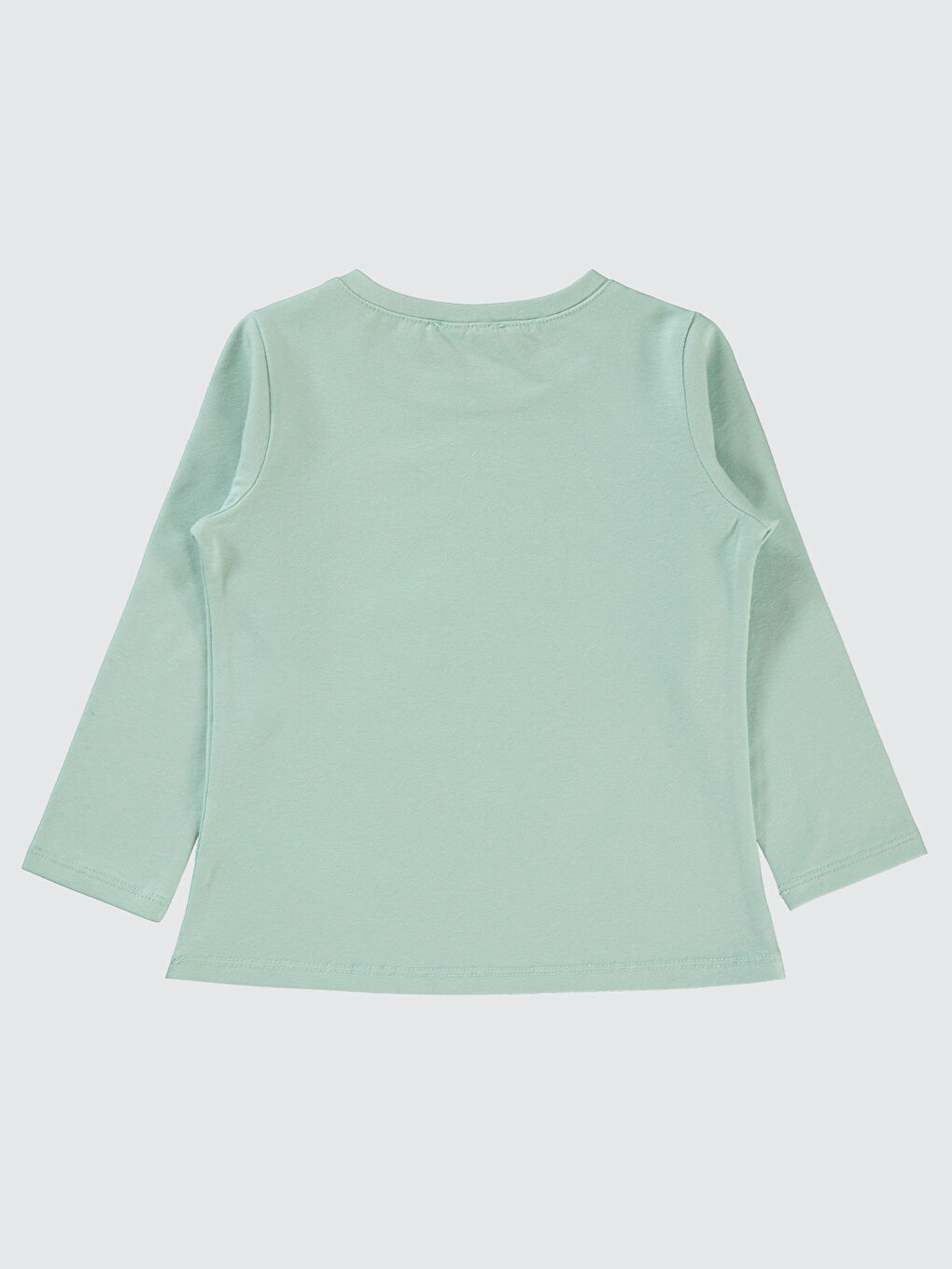 Yeşil Girls Kız Çocuk Sweatshirt 2-5 Yaş Taze Nane-1