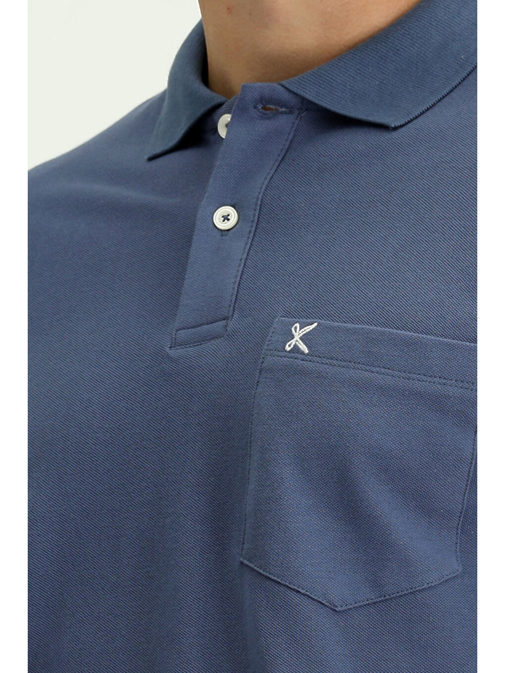 İndigo Polo Yaka Regular Fit Nakışlı Pamuk %100 Pamuk Tişört-5