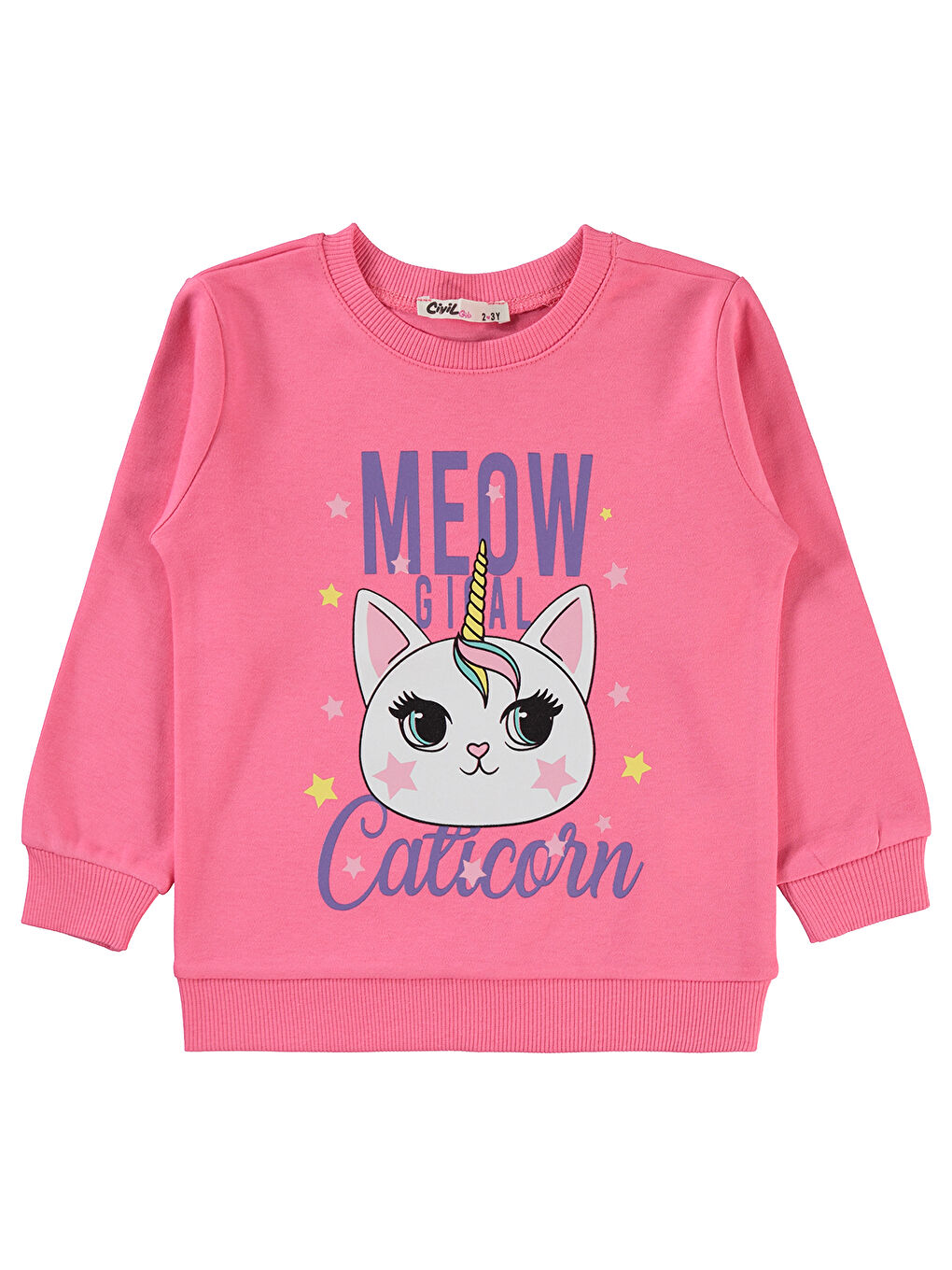 Girls Kız Çocuk Sweatshirt 2-5 Yaş Pembe Sıklamen