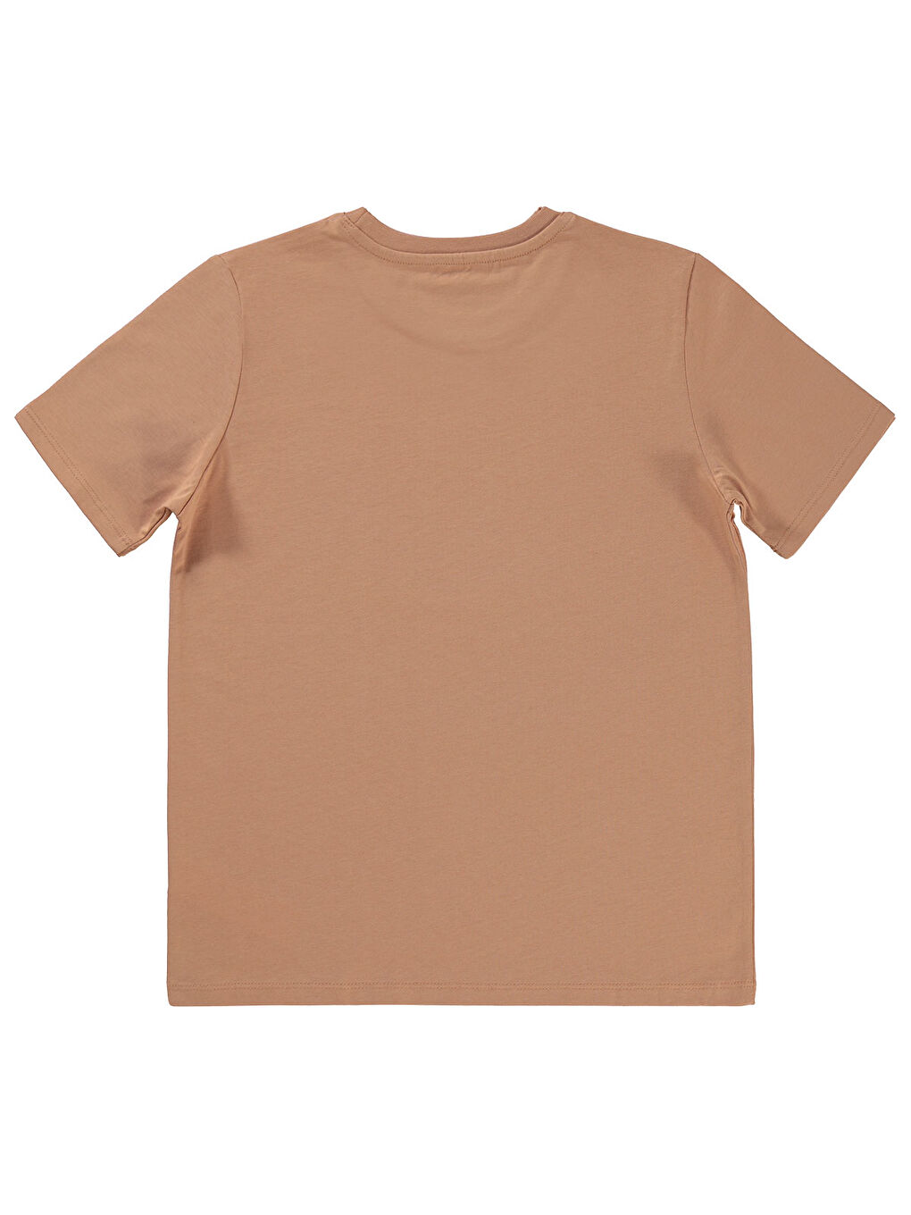Kahverengi Boys Erkek Çocuk Tişört 10-13 Yaş Kiremit-1