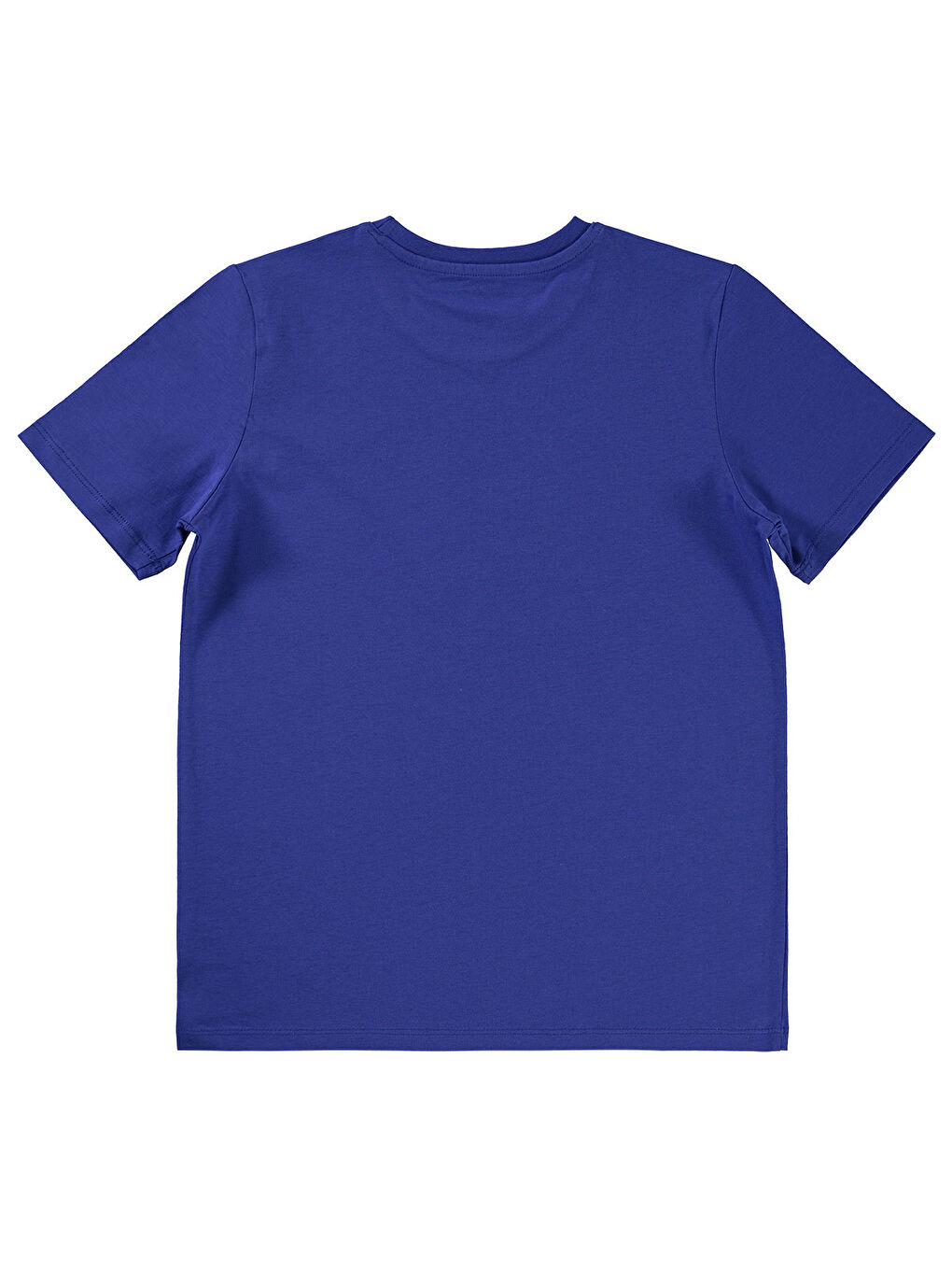Boys Erkek Çocuk Tişört 10-13 Yaş Saks Mavi-1