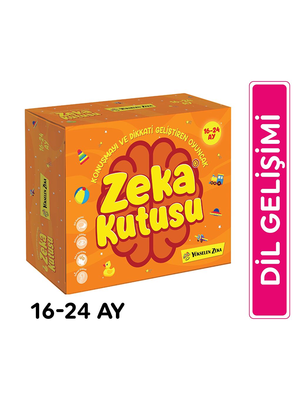 Zeka Kutusu (16-24 Ay)