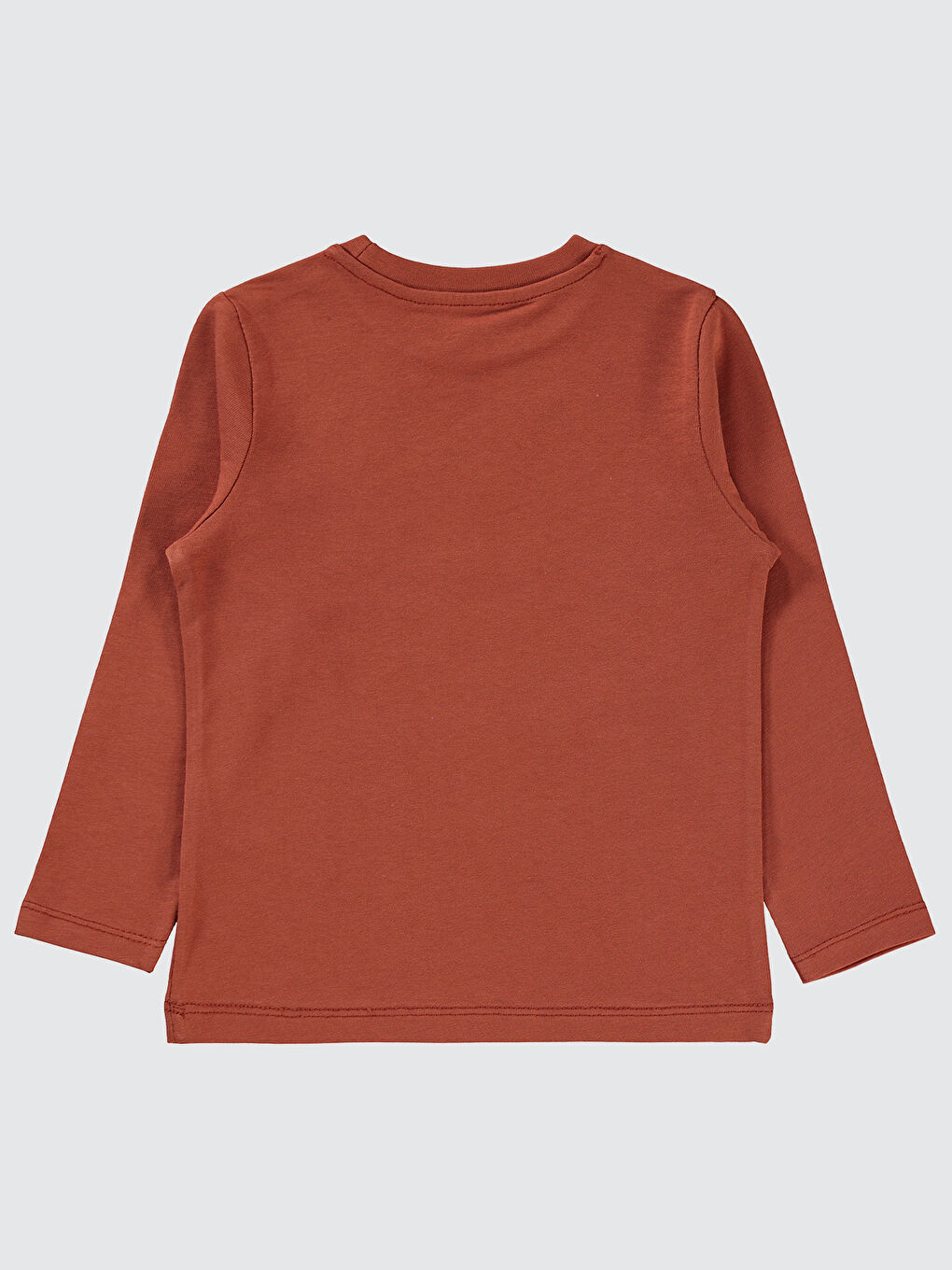 Turuncu Erkek Çocuk Sweatshirt 2-5 Yaş Koyu Bakır-1