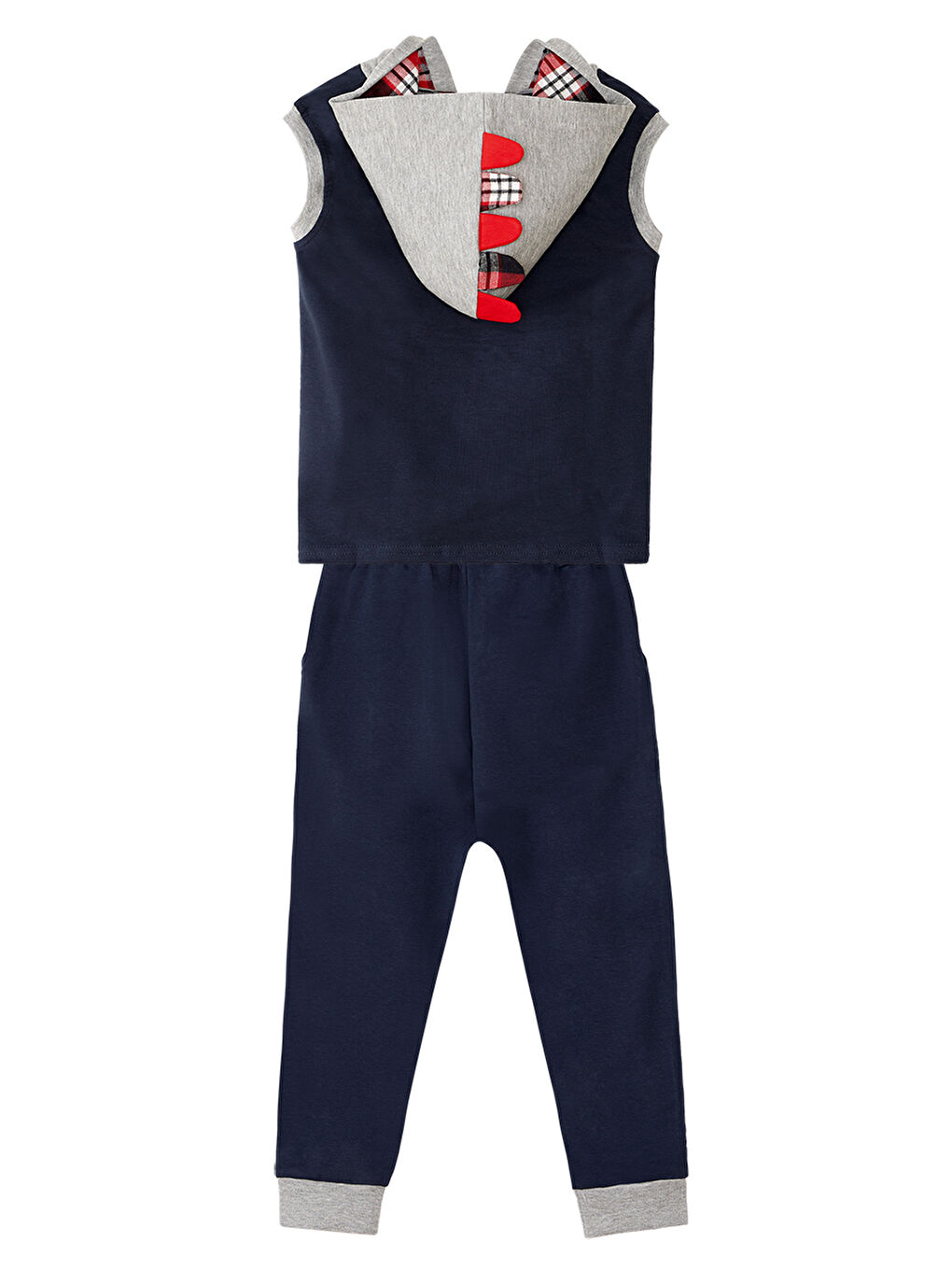 Karışık Dino Erkek Çocuk Kolsuz Eşofman Altı Takım-3