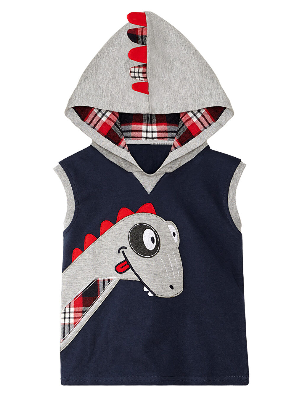 Karışık Dino Erkek Çocuk Kolsuz Eşofman Altı Takım-4