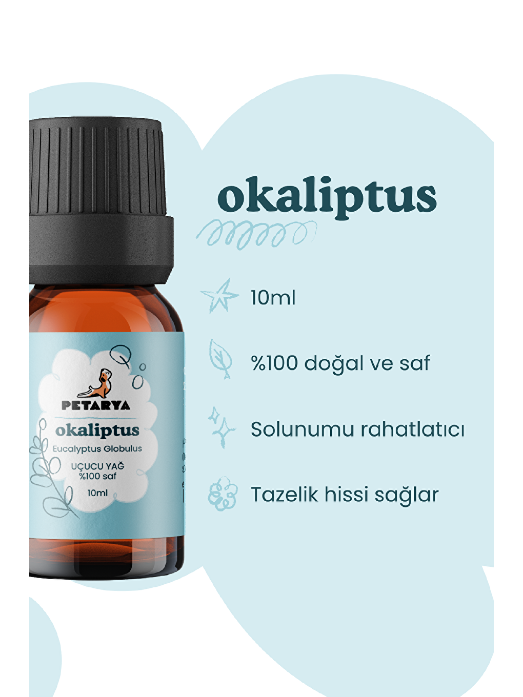 Okaliptüs Yağı | 10 ml-2