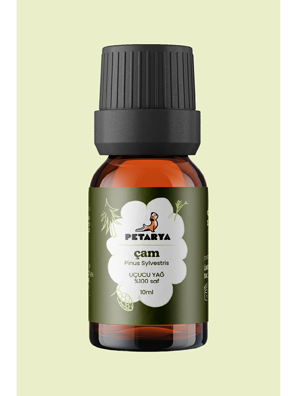 Çam Ağacı Yağı | 10 ml