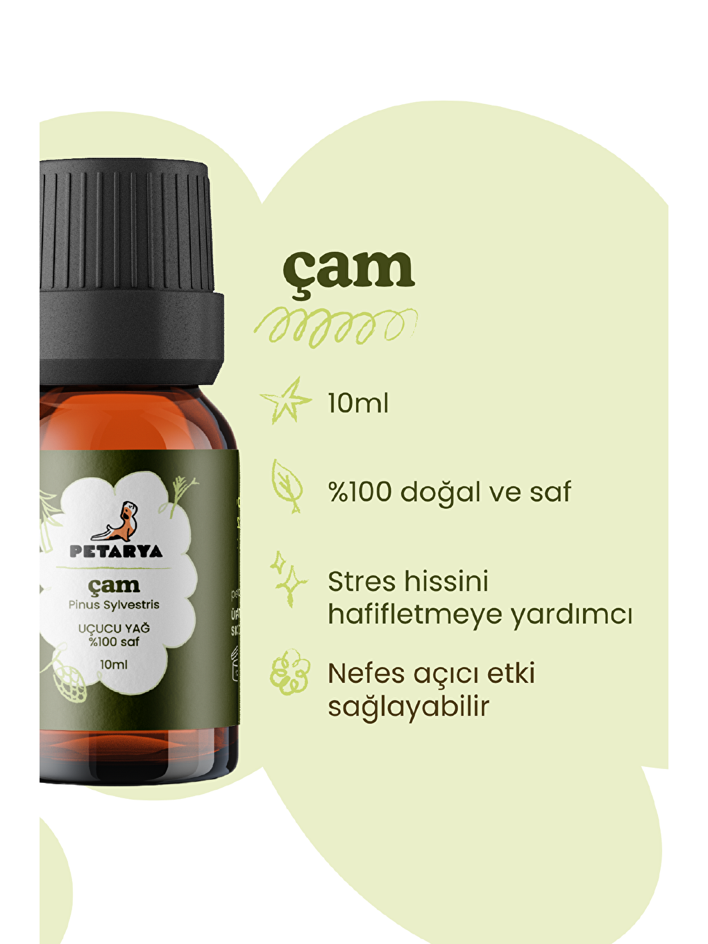 Çam Ağacı Yağı | 10 ml-2