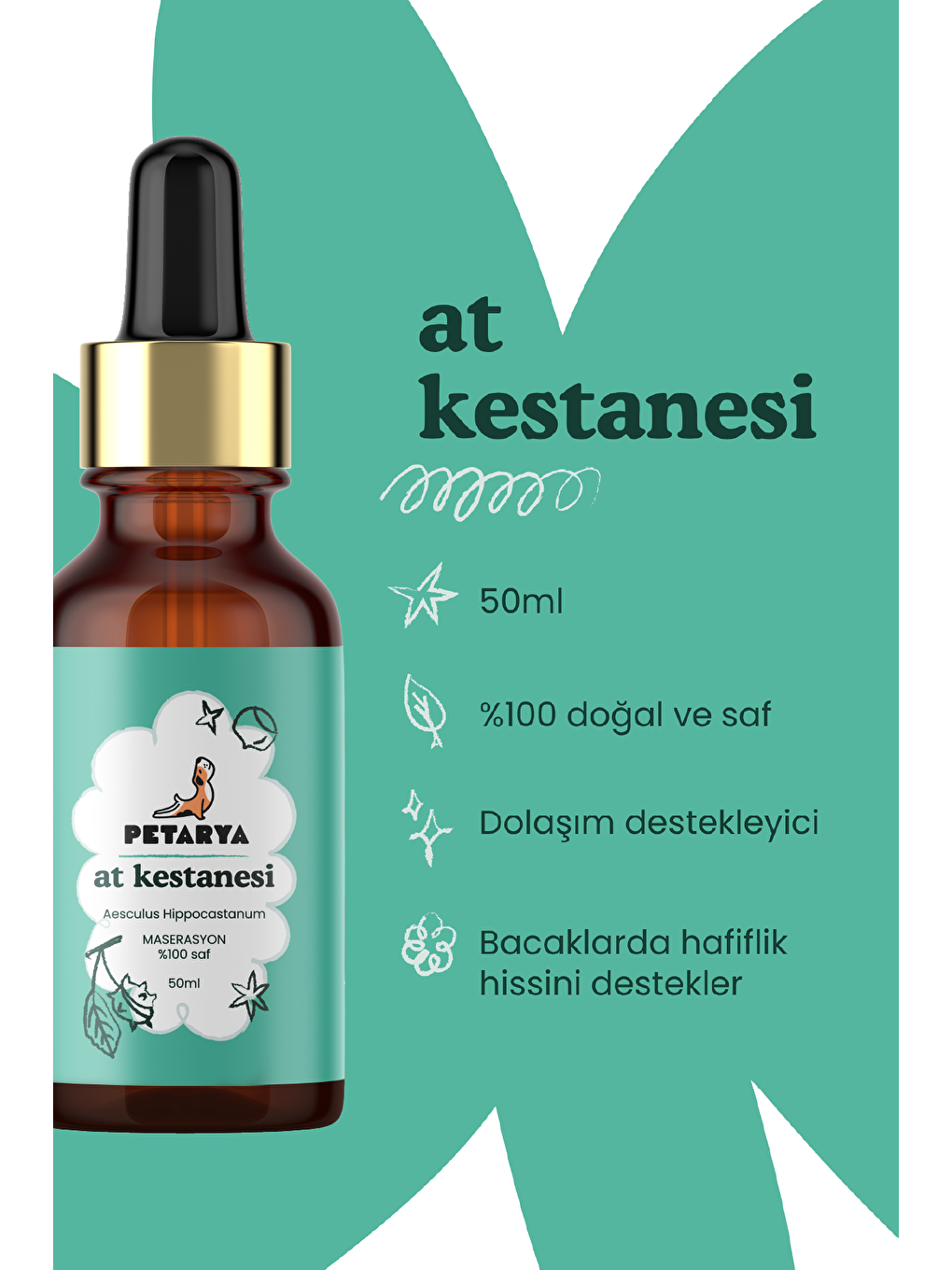 At Kestanesi Yağı | 50 ml-2