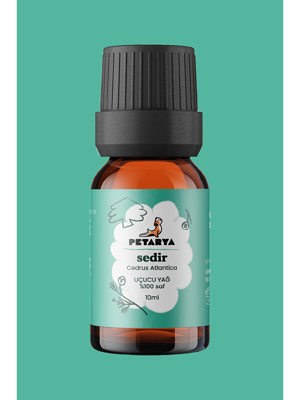 Sedir Yağı | 10 ml