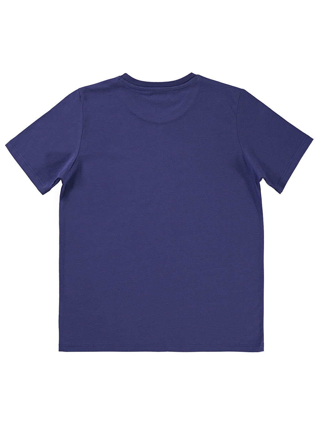 Boys Erkek Çocuk Tişört 10-13 Yaş Mor-1