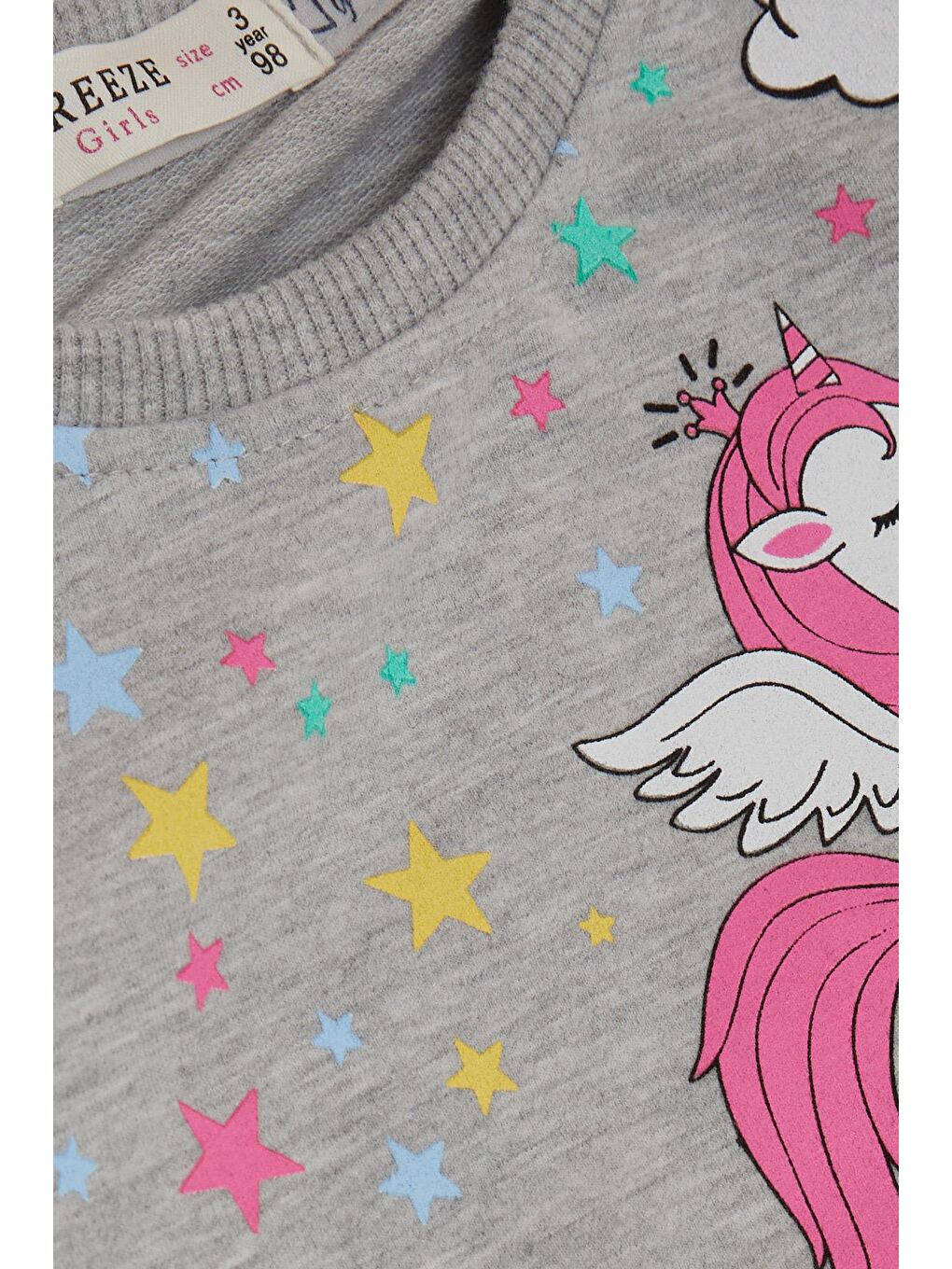 Kız Çocuk Sweatshirt  Baskılı Gri Melanj (2-5 Yaş)-2