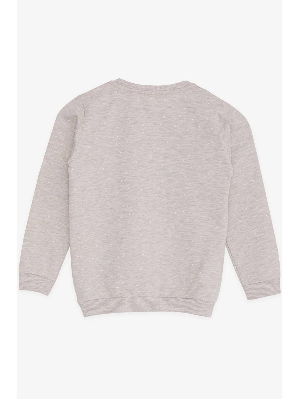 Kız Çocuk Sweatshirt Yazı Baskılı Desenli Bej Melanj (3-7 Yaş)-1