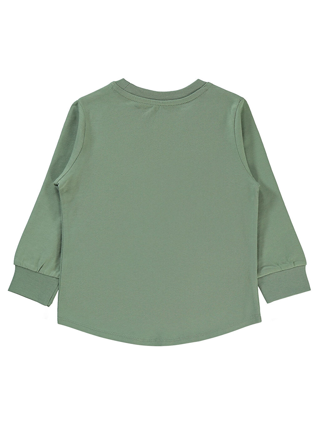 Boys Erkek Çocuk Sweatshirt 2-5 Yaş Soft Haki