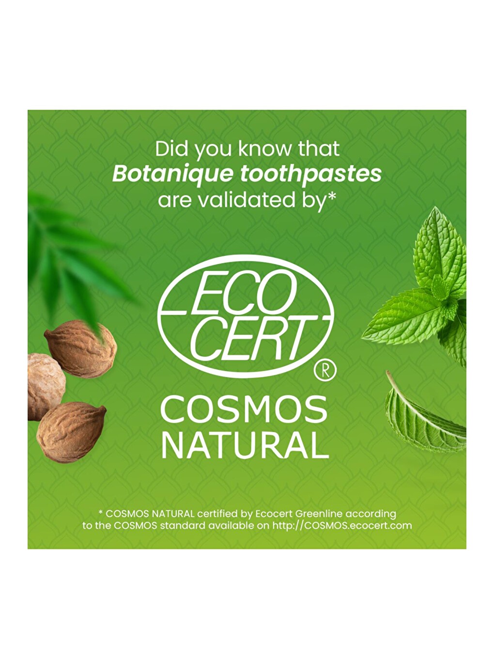 Botanique Plak Karşıtı Komple Bakım Organik Diş Macunu 75ml 2'li Paket | Ecocert Cosmos Sertifikalı-3