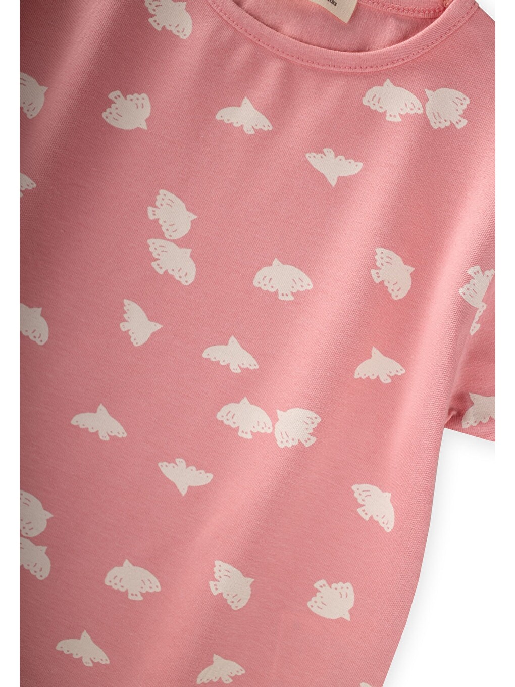 Taytlı T-shirt Takım 1-7 Yaş Pembe-2