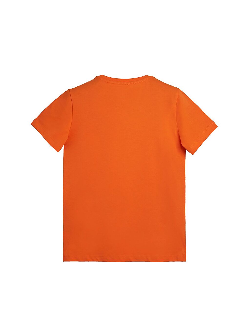 Bear Tee Kids Turuncu Tişört Çocuk Tişört-2