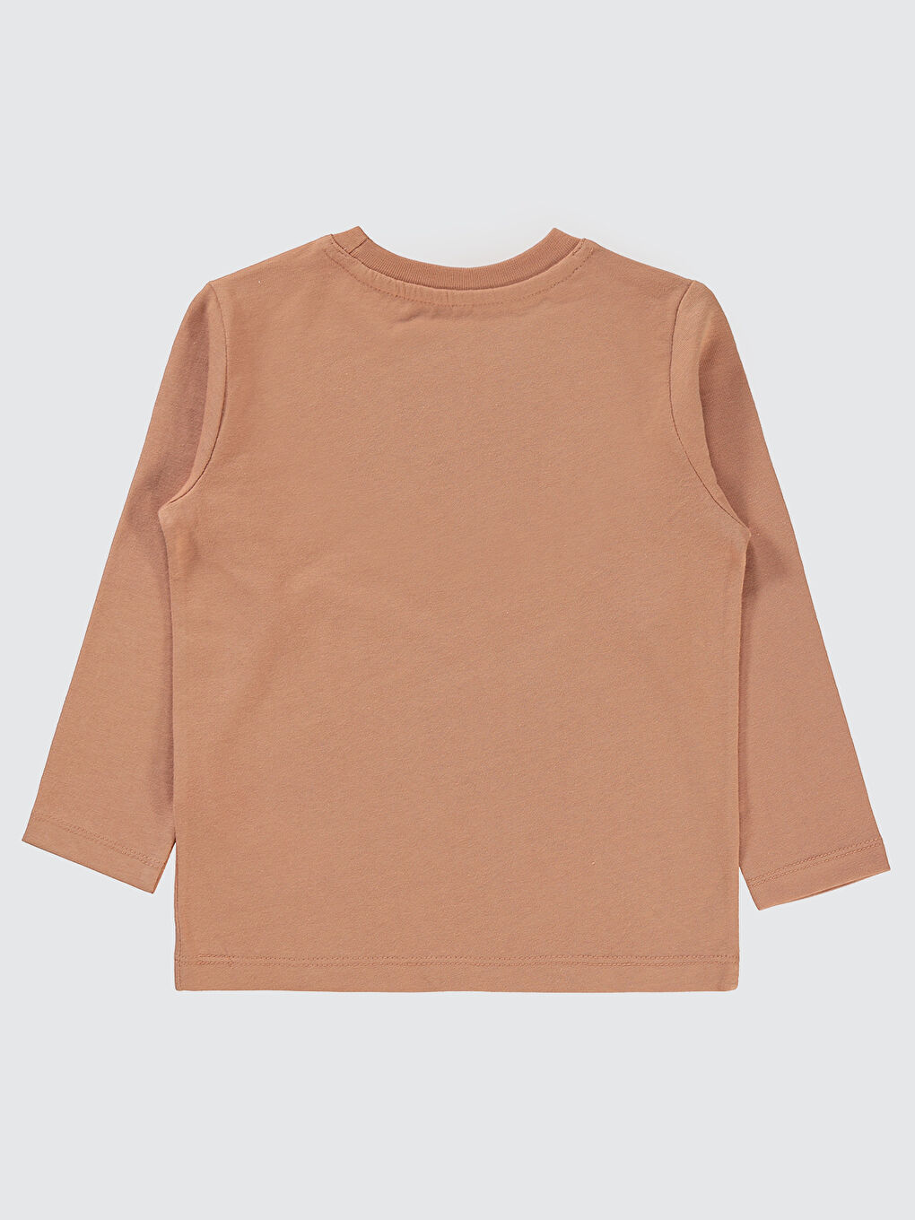 Kahverengi Erkek Çocuk Sweatshirt 2-5 Yaş Kiremit-1