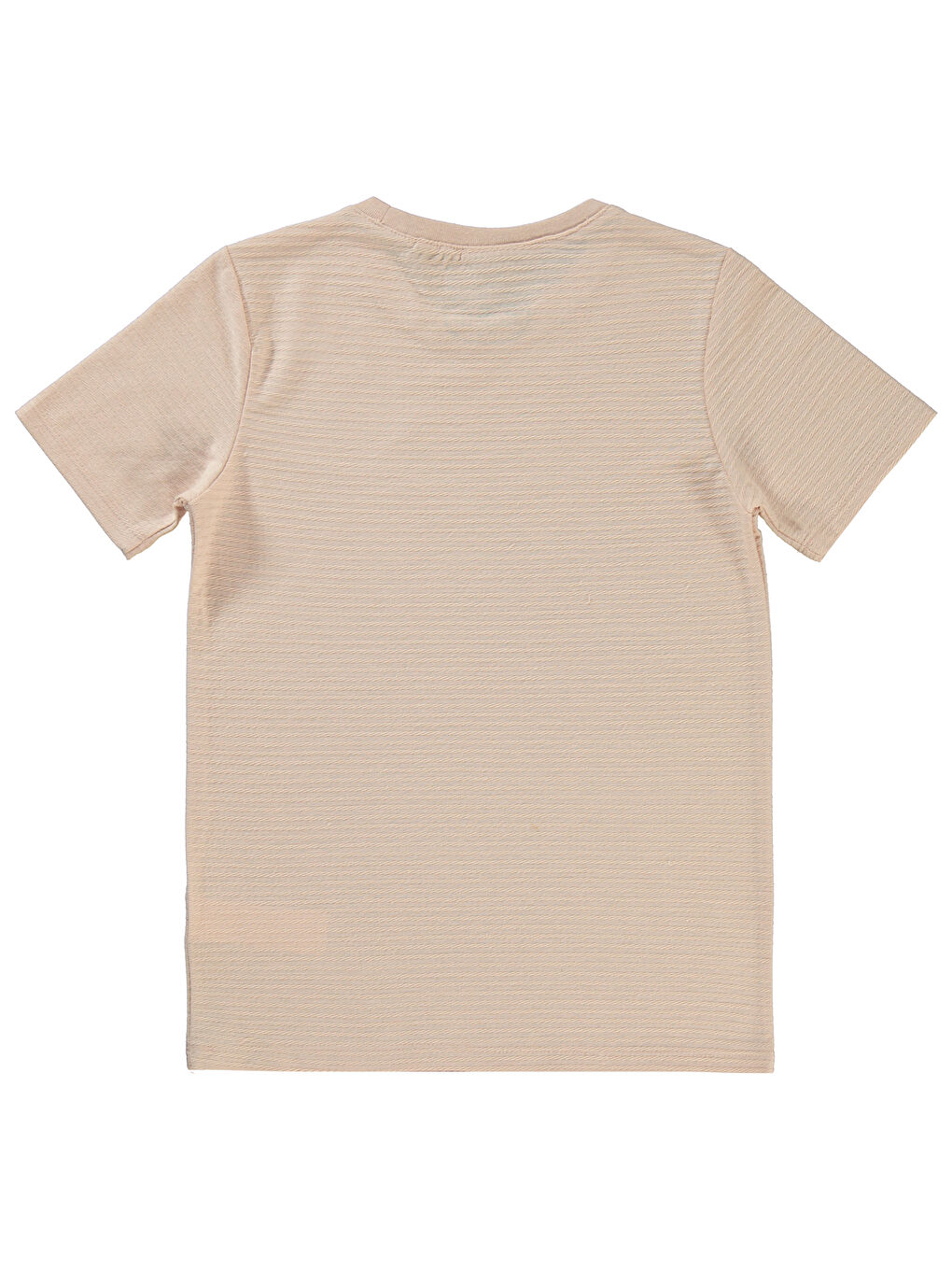 Pembe Boys Erkek Çocuk Tişört 10-13 Yaş Somon-1