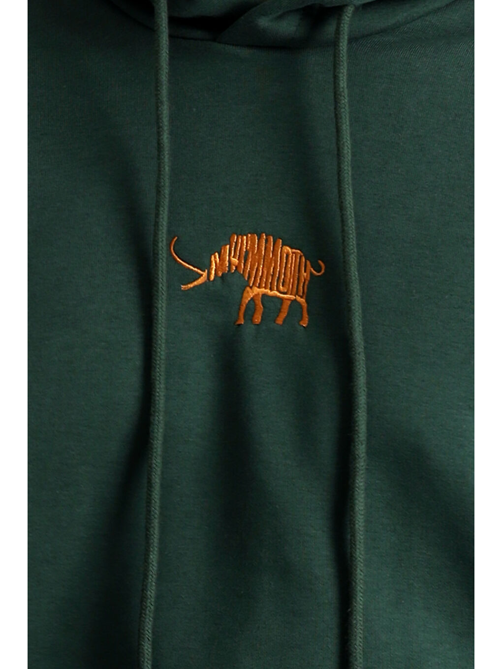 Yeşil Kapüşonlu Nakışlı Pamuklu Sweatshirt-4