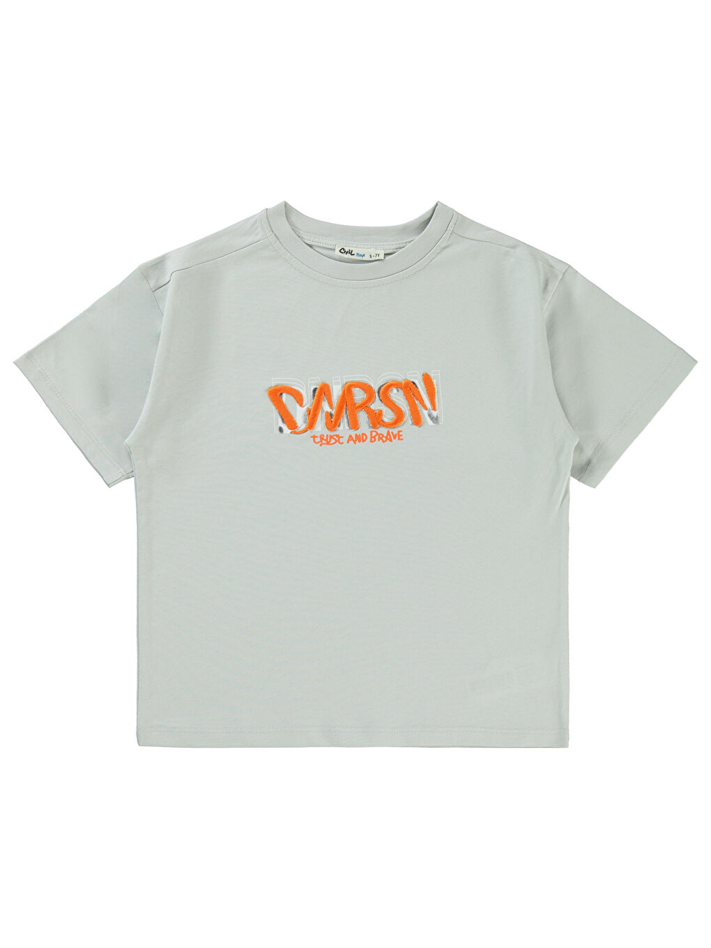 Boys Erkek Çocuk Tişört 10-13 Yaş Açık Gri