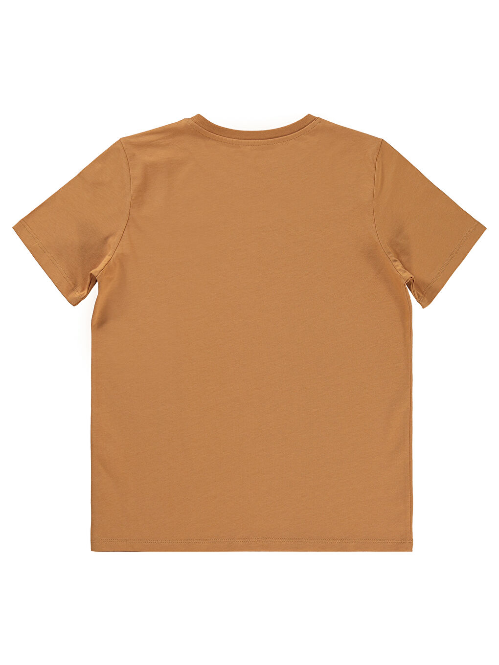 Kahverengi Boys Erkek Çocuk Tişört 10-13 Yaş Tarçın-1