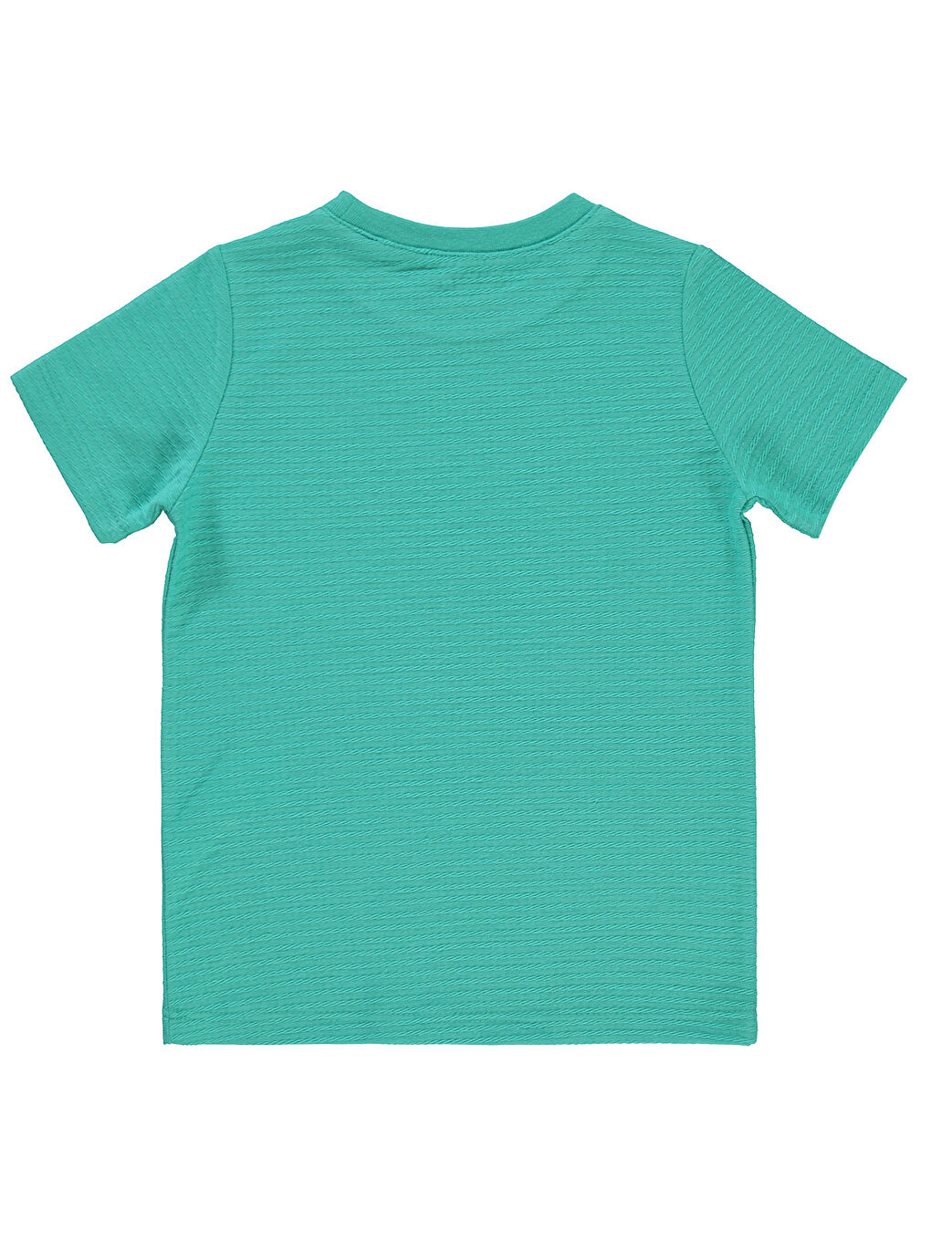 Yeşil Boys Erkek Çocuk Tişört 2-5 Yaş Mint-1