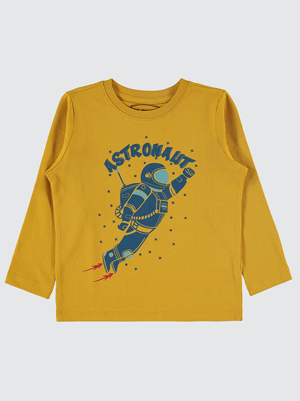 Kahverengi Erkek Çocuk Sweatshirt 2-5 Yaş Hardal