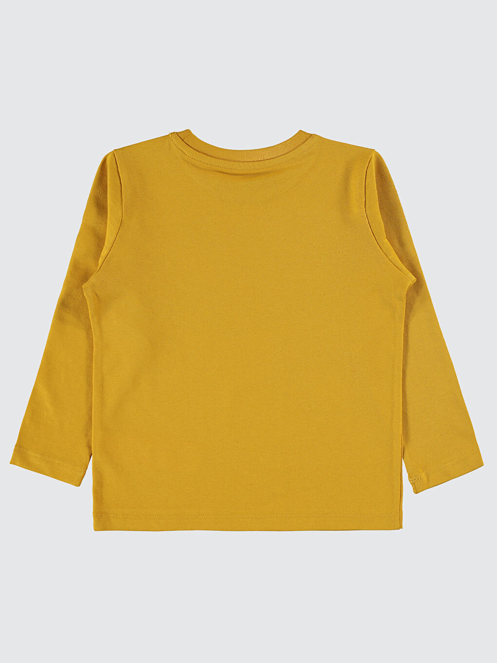 Kahverengi Erkek Çocuk Sweatshirt 2-5 Yaş Hardal-1