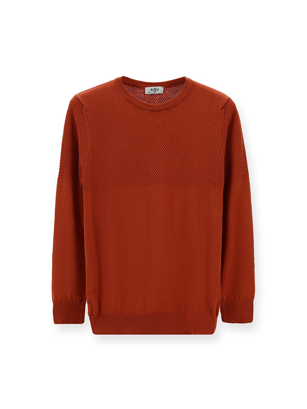 Kahverengi Bisiklet Yaka Slim Fit Dar Kesim Desenli Pamuklu Triko Büyük Beden Kazak-5