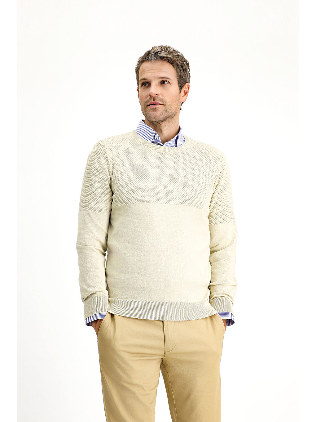 Bej Bisiklet Yaka Slim Fit Dar Kesim Desenli Pamuklu Triko Büyük Beden Kazak-3