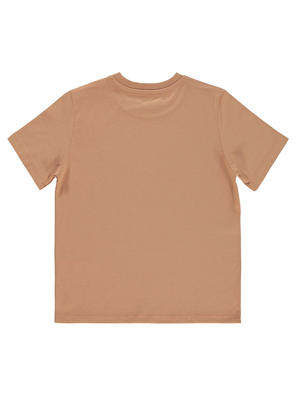 Kahverengi Boys Erkek Çocuk Tişört 6-9 Yaş Kiremit-1