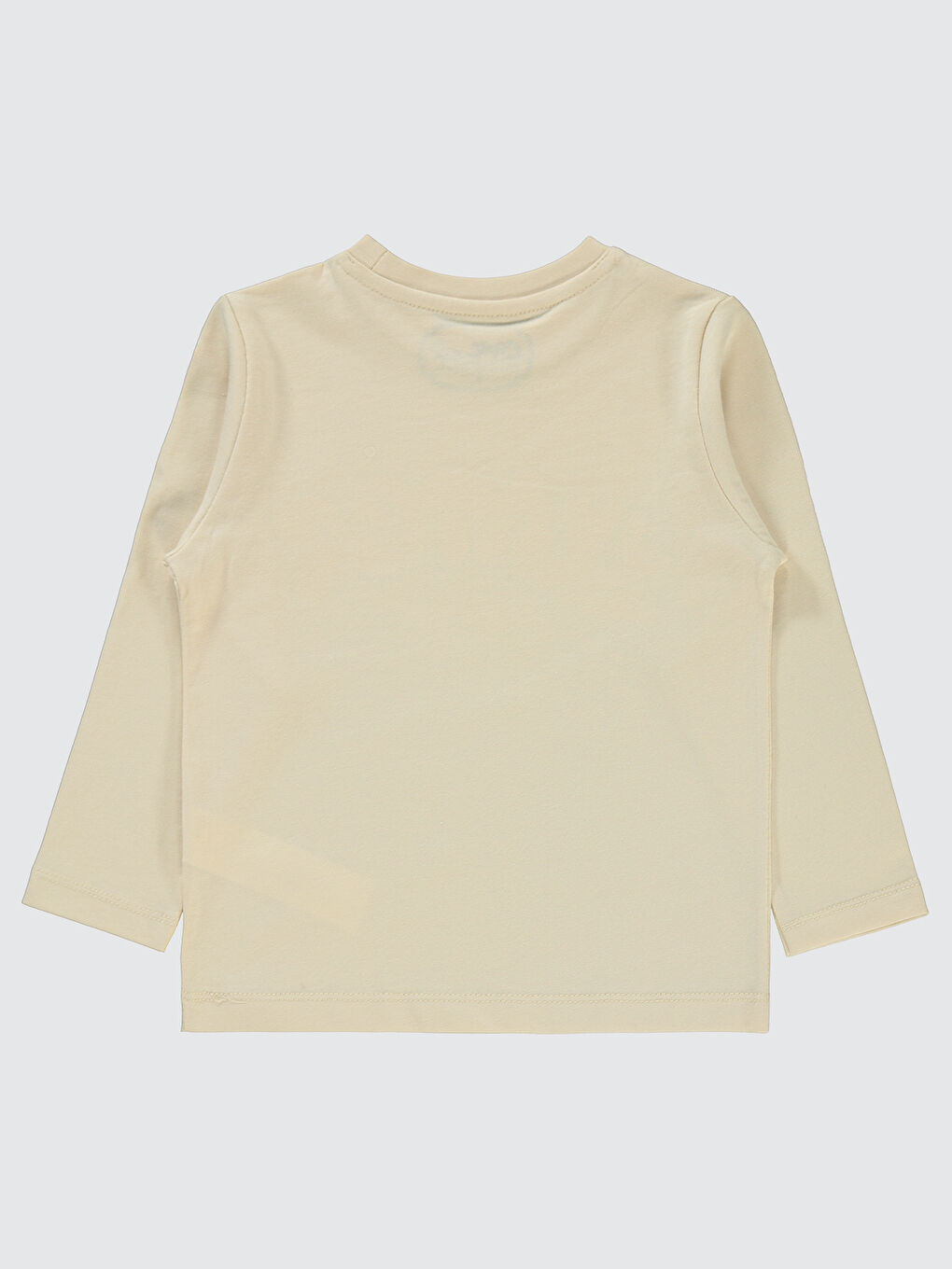 Bej Erkek Çocuk Sweatshirt 2-5 Yaş Taş Rengi-1