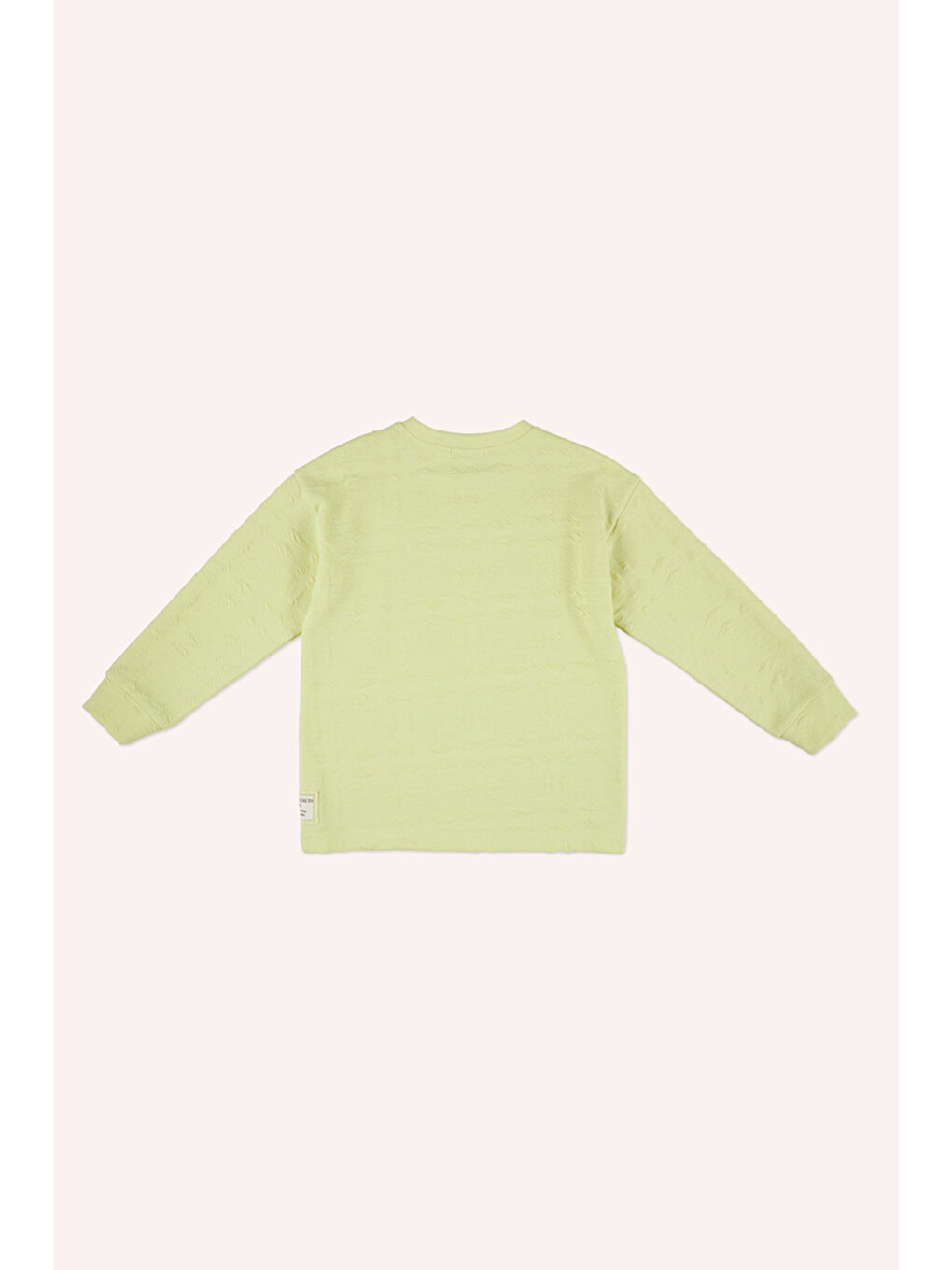 Erkek Çocuk Yeşil Sweatshirt-2