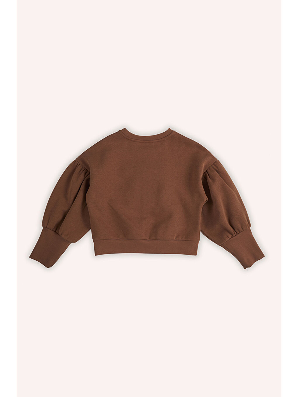 Kahverengi Kız Çocuk Nakışlı Camel Sweatshirt-3