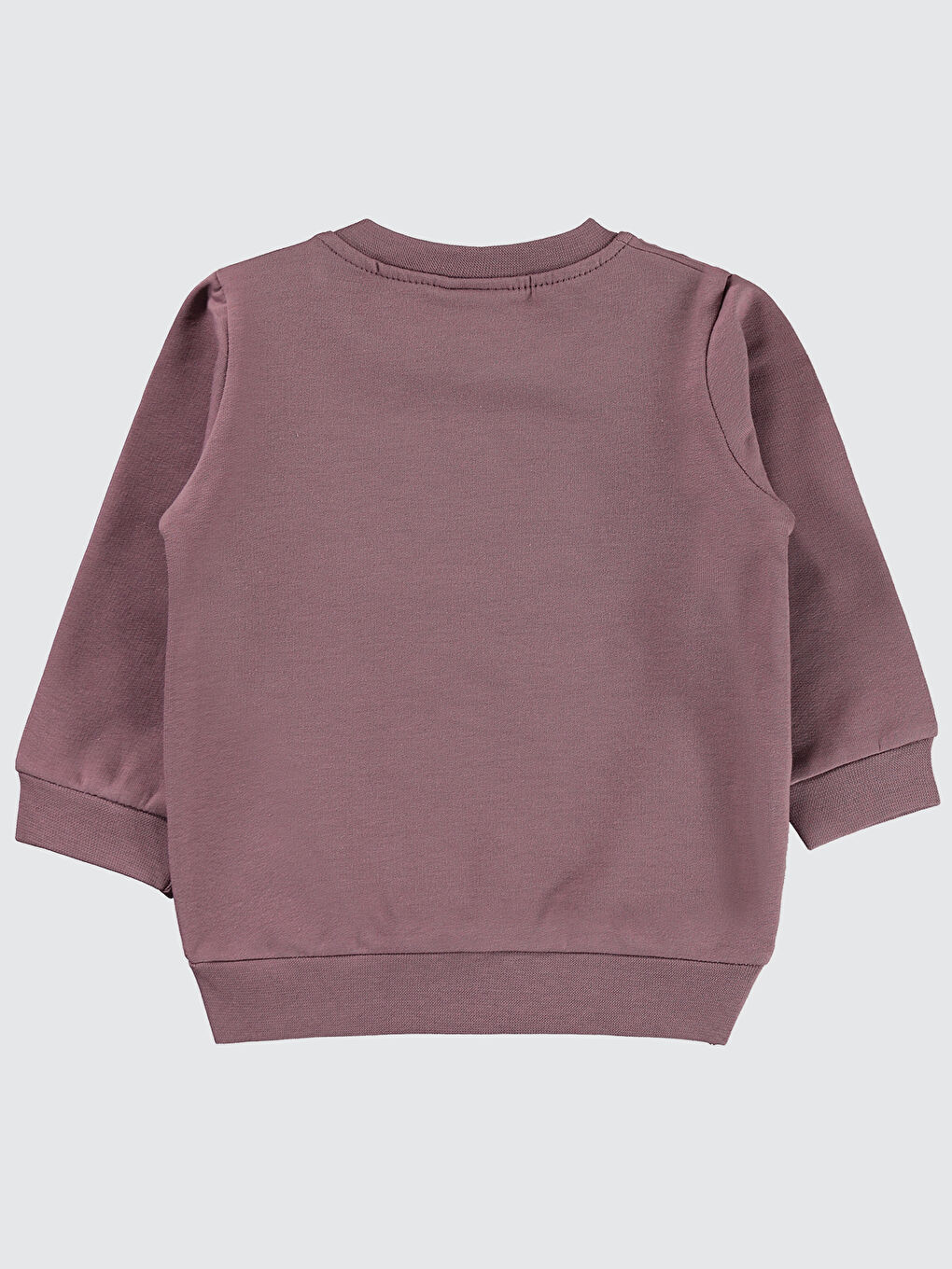 Baby Kız Bebek Sweatshirt 6-18 Ay Leylak Lila-1