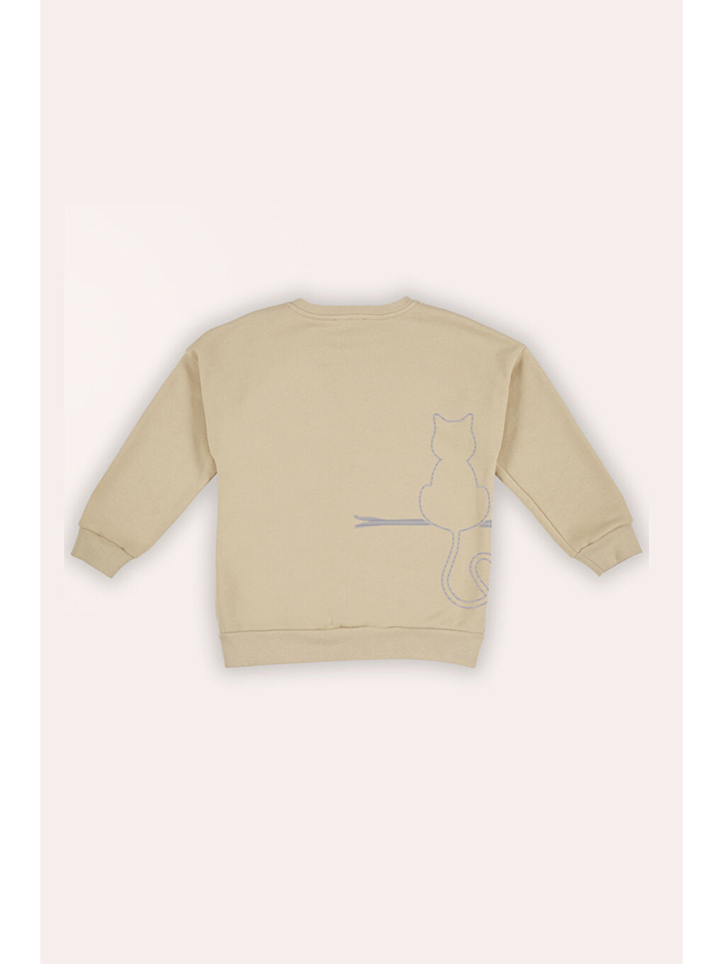 Erkek Çocuk Sırtı Baskı Detaylı Bej Sweatshirt-1