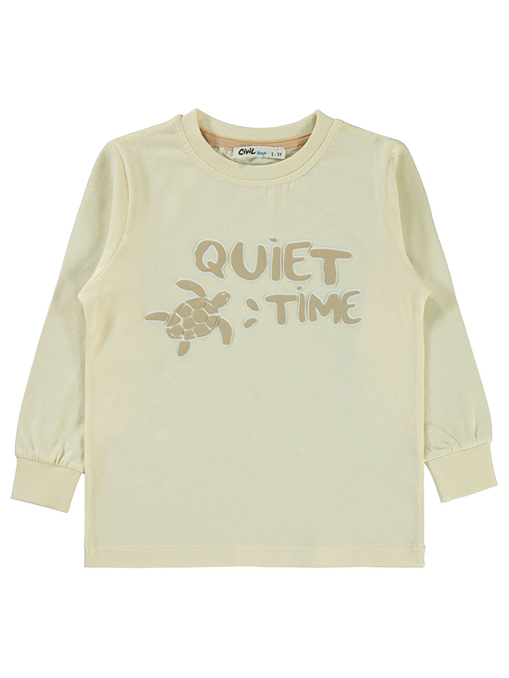 Bej Boys Erkek Çocuk Sweatshirt 2-5 Yaş FilDişi