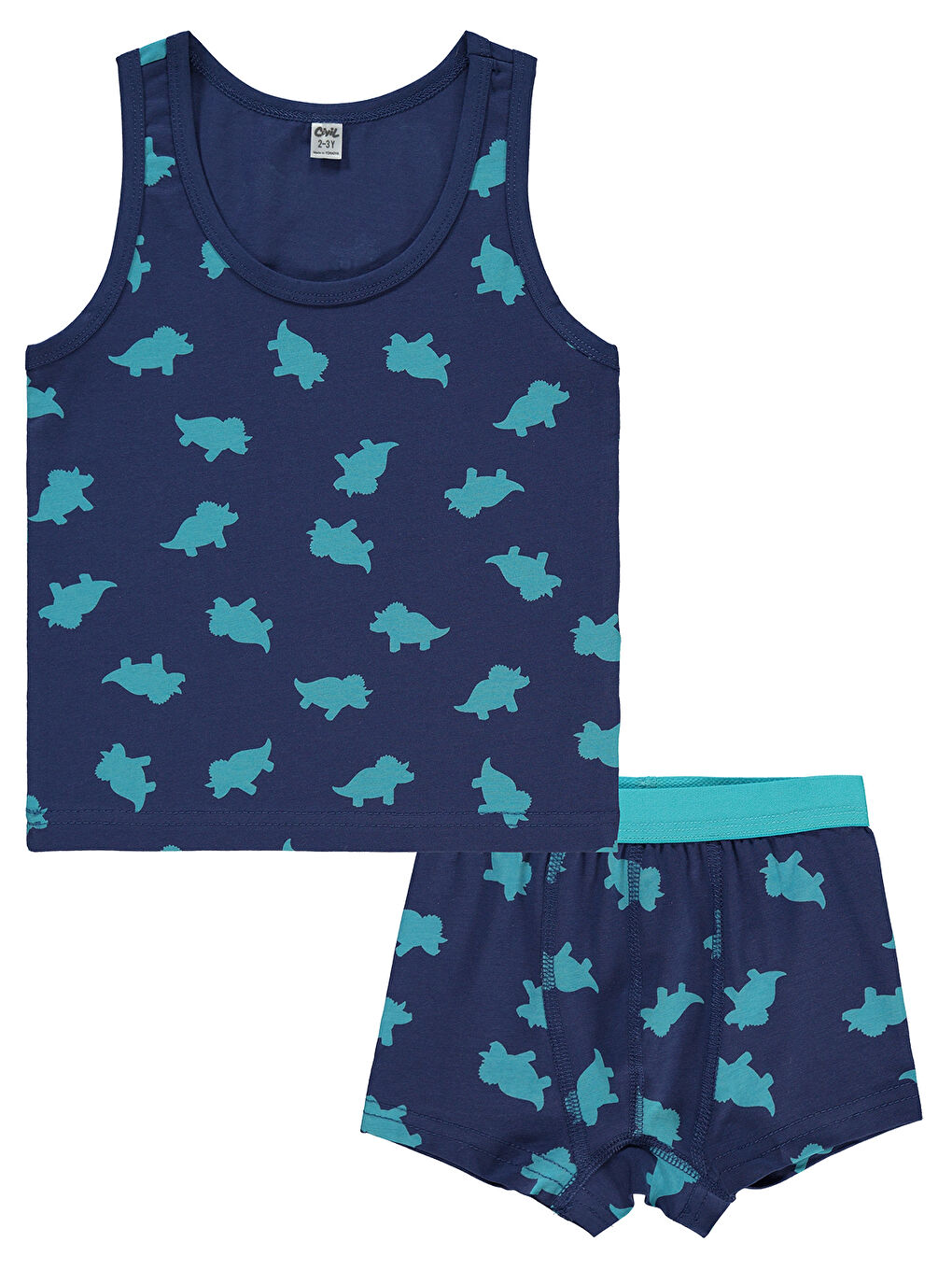 Boys Erkek Çocuk İç Çamaşır Takımı 2-10 Yaş Mavi