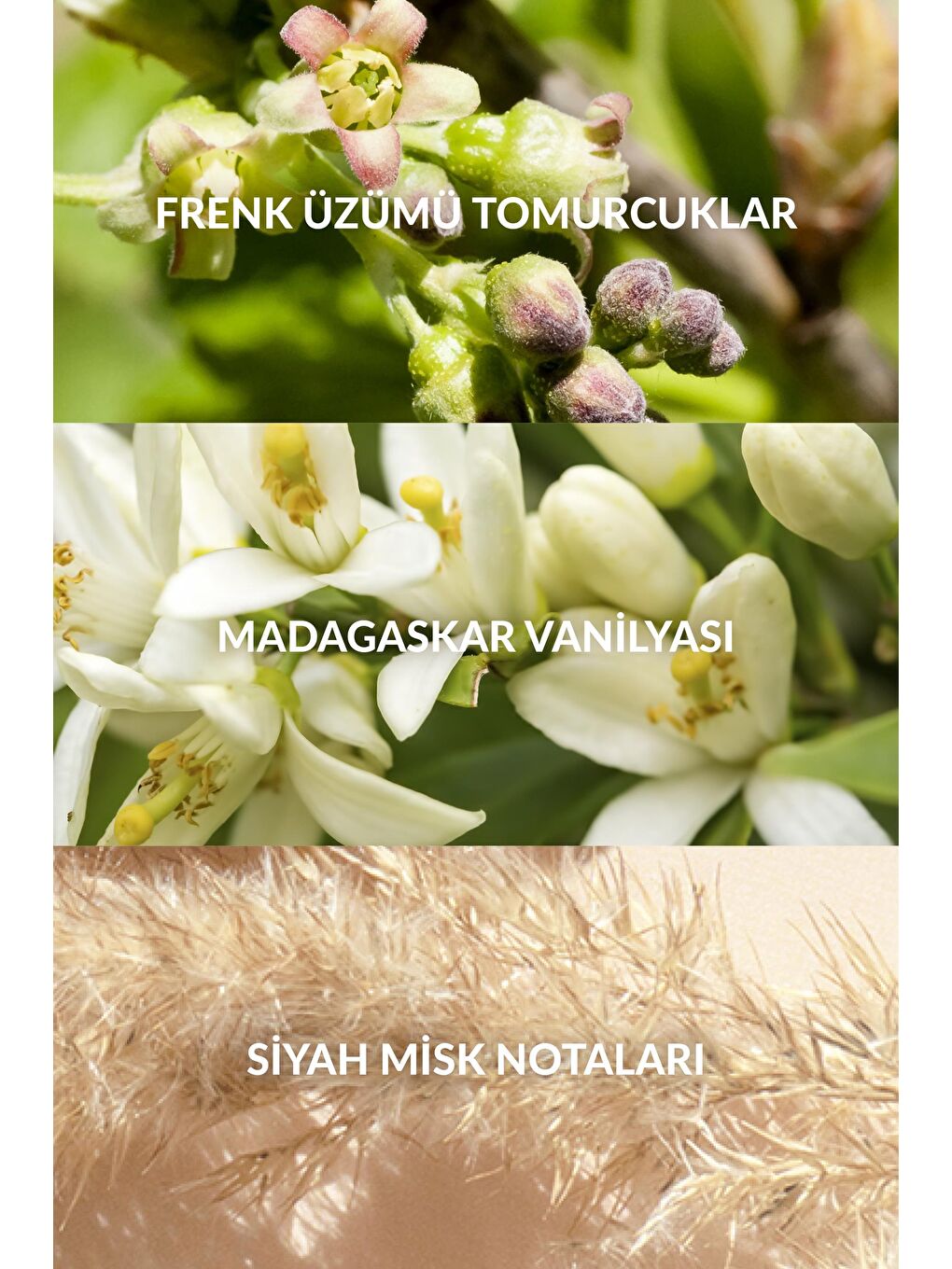 Far Away Glamour Kadın Parfüm Edp 30 Ml.-3