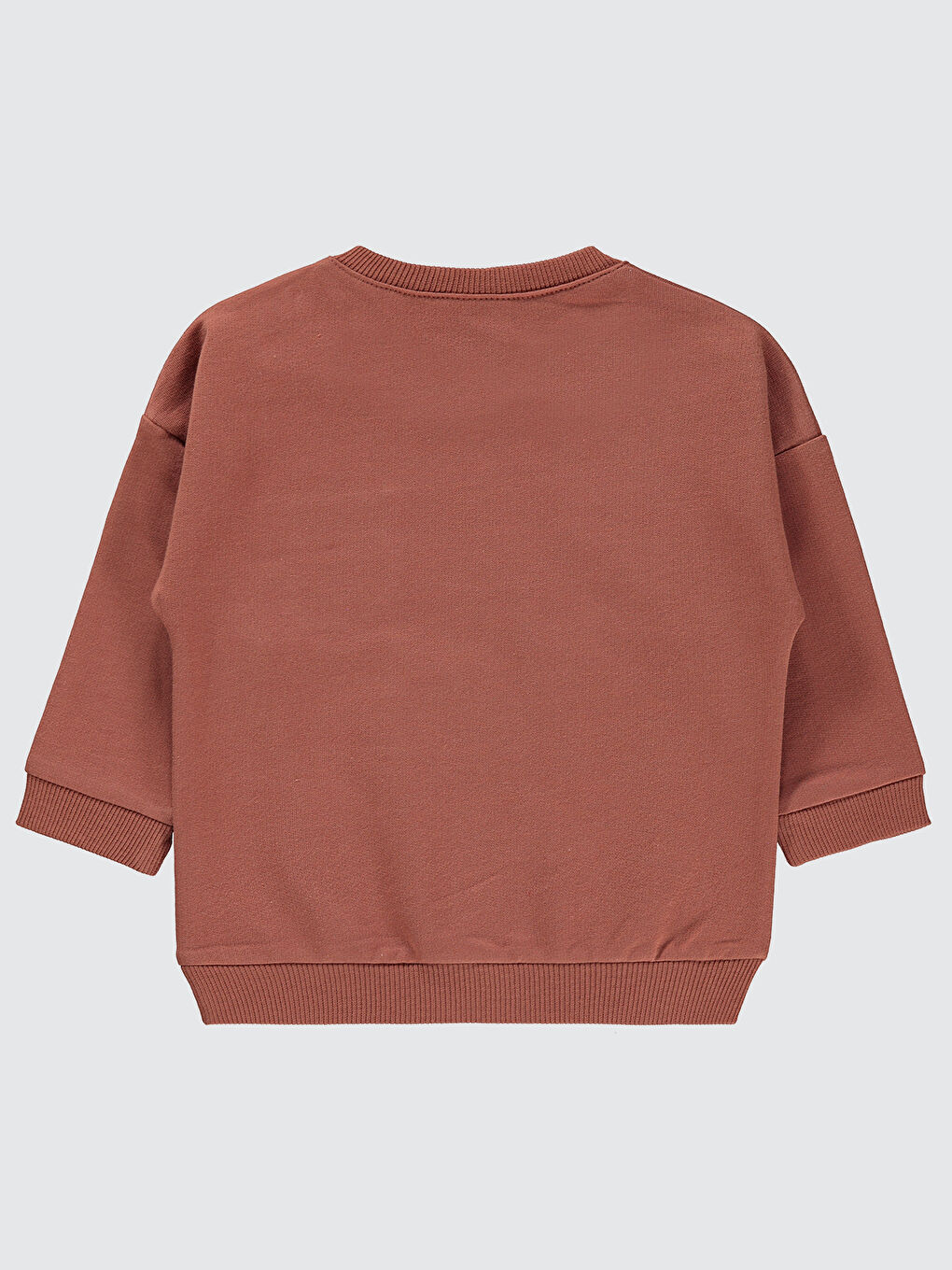 Kahverengi Baby Erkek Bebek Sweatshirt 6-18 Ay Kiremit-1