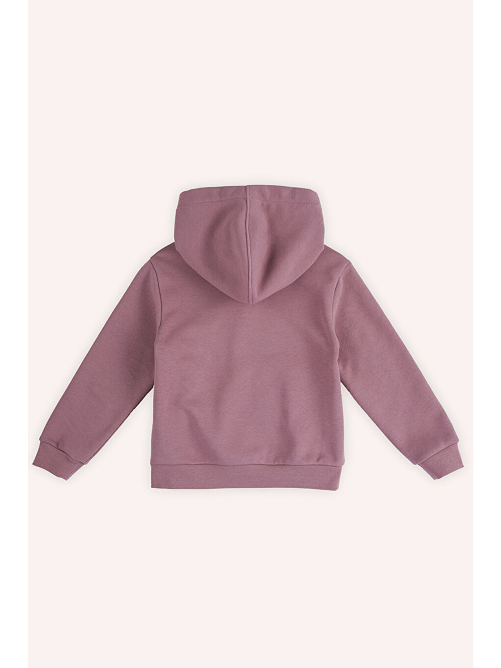 Pembe Kız Çocuk Kapüşonlu Gül Kurusu Sweatshirt-3
