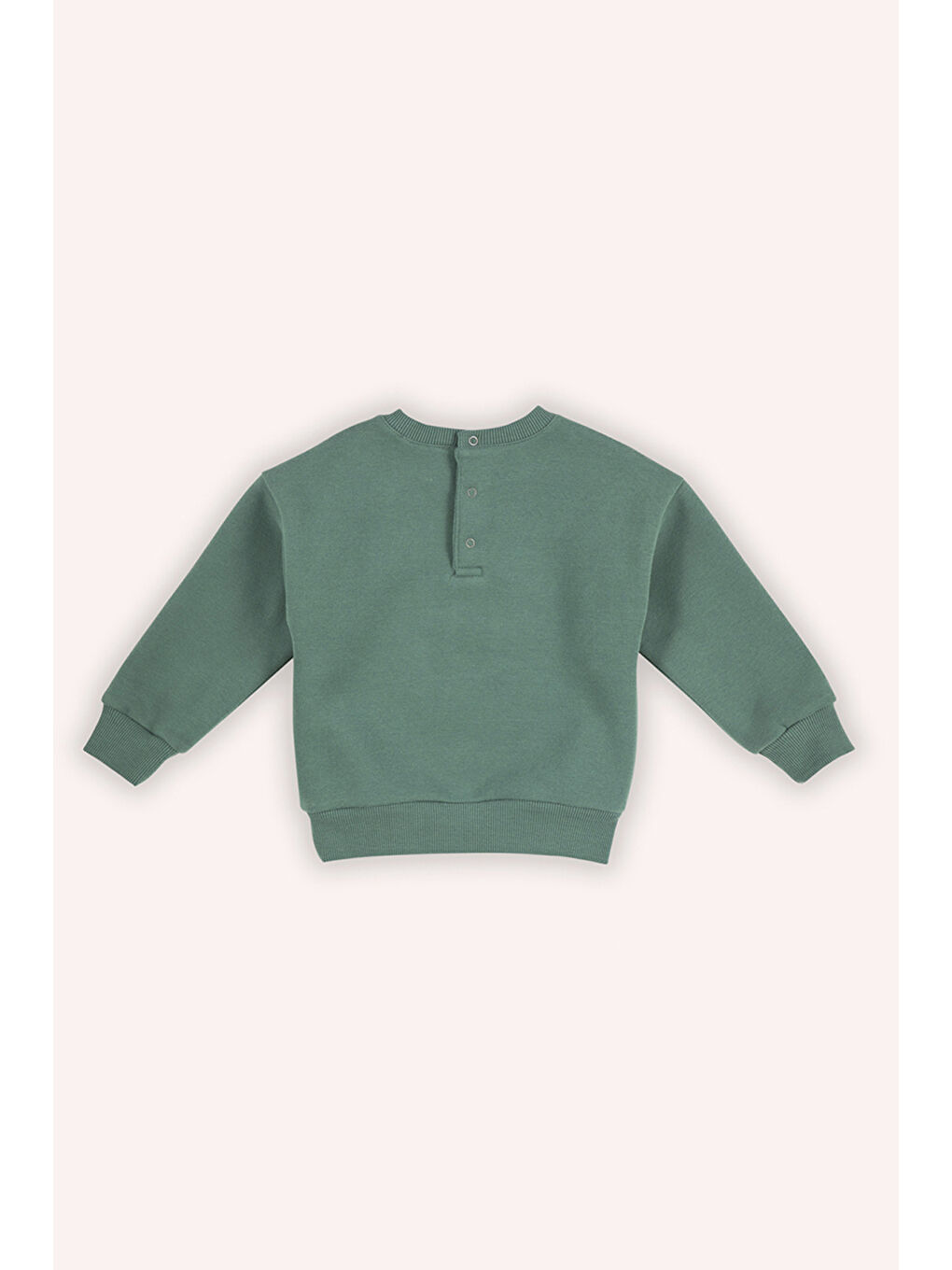 Erkek Bebek Nakışlı Yeşil Sweatshirt-1