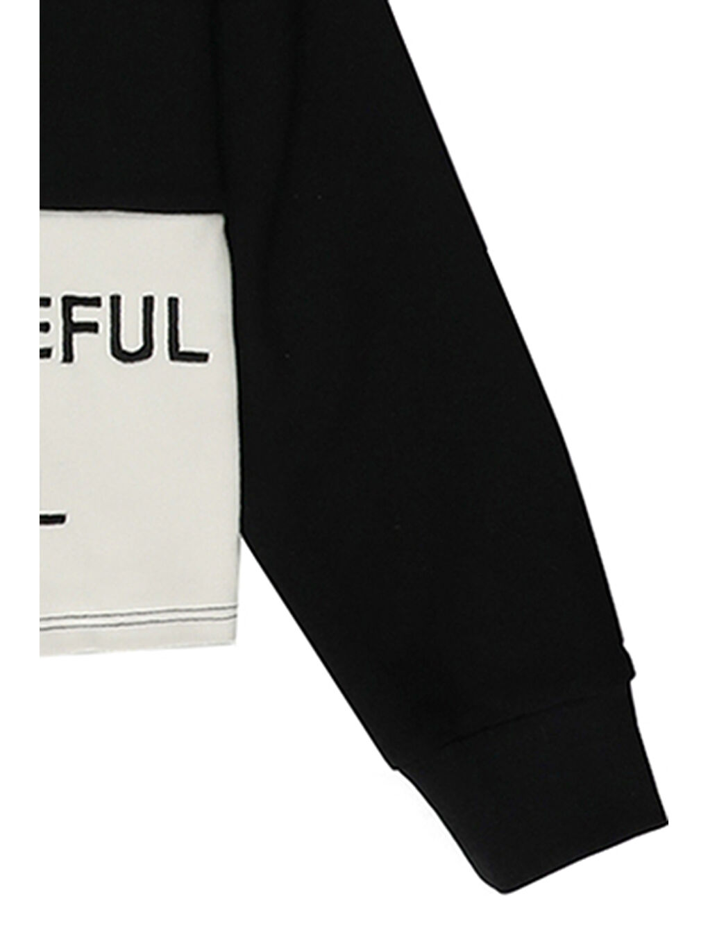 Kız Çocuk Nakış Detaylı Siyah Sweatshirt-2