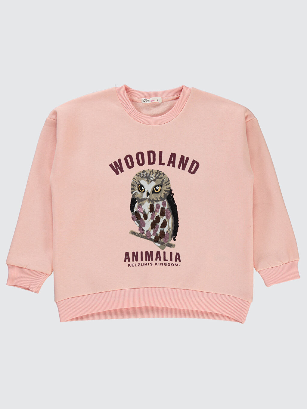 Pembe Kız Çocuk Sweatshirt 6-9 Yaş Pudra