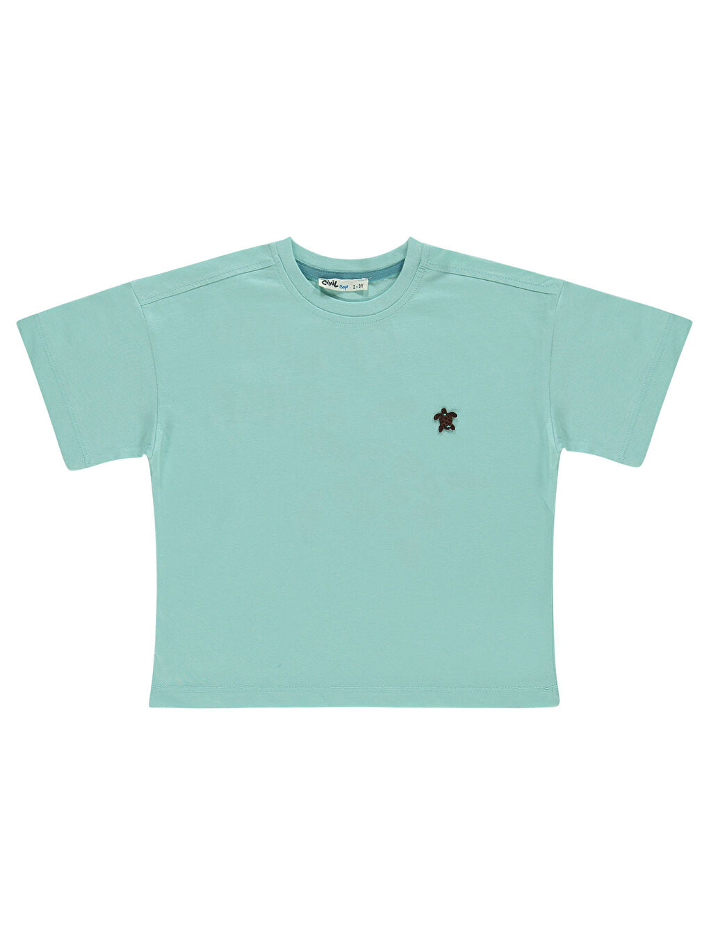 Boys Erkek Çocuk Tişört 2-5 Yaş Turkuaz