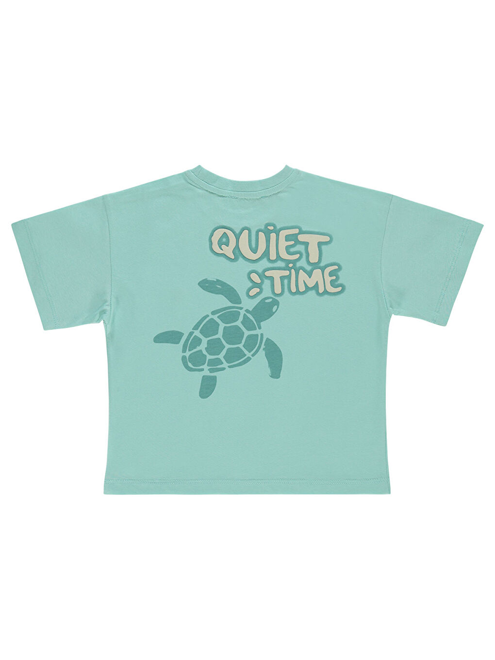 Boys Erkek Çocuk Tişört 2-5 Yaş Turkuaz-1