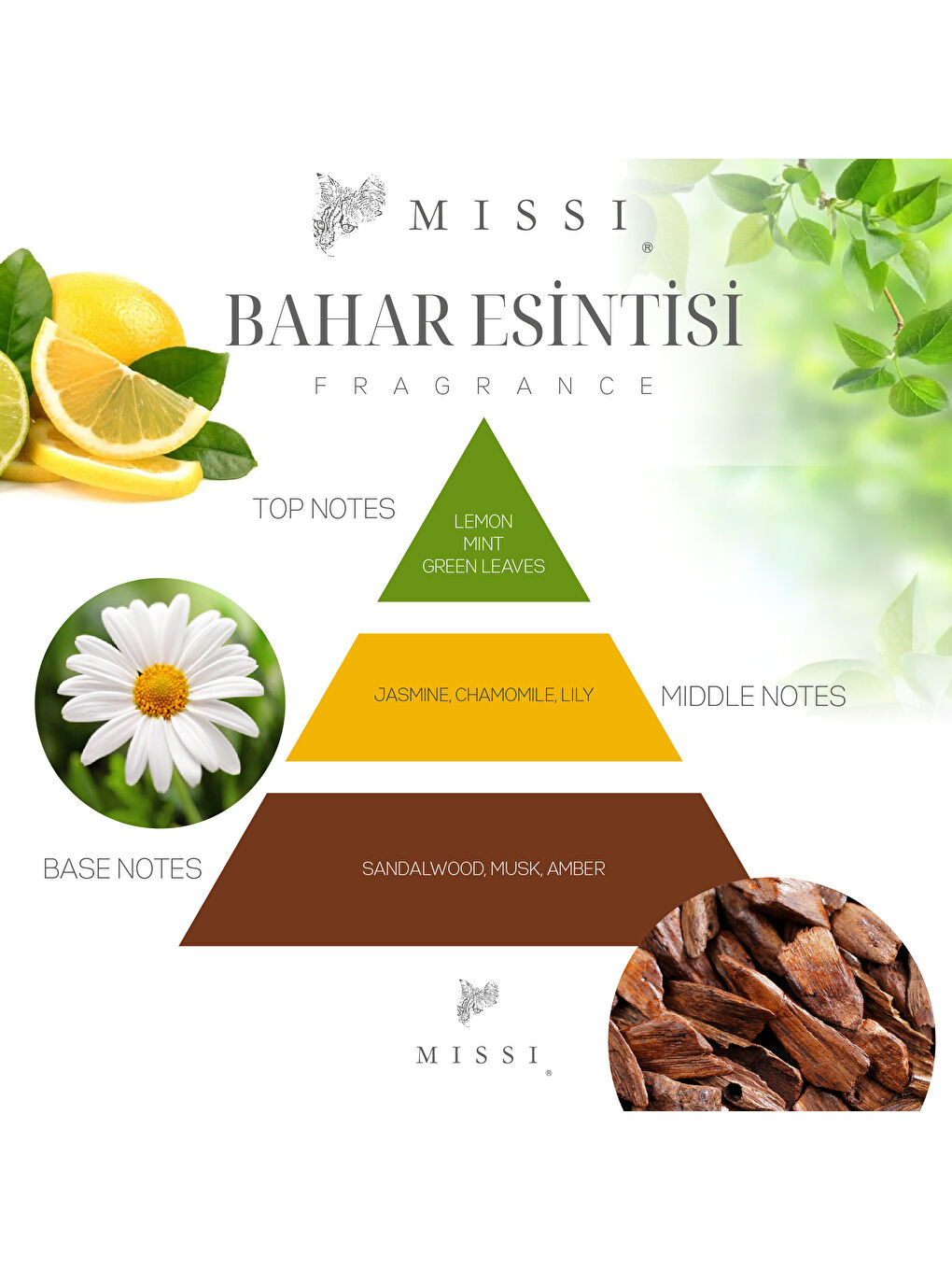 Kahverengi 2'li Black Vanilya & Bahar Esintisi Buhurdanlık Esansı/Yağı-1